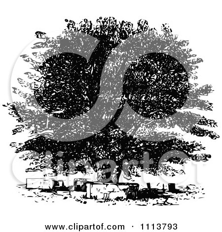 Clipart Vintage Black And White Oak Tree - Royalty Free Vector Illustration by Prawny Vintage