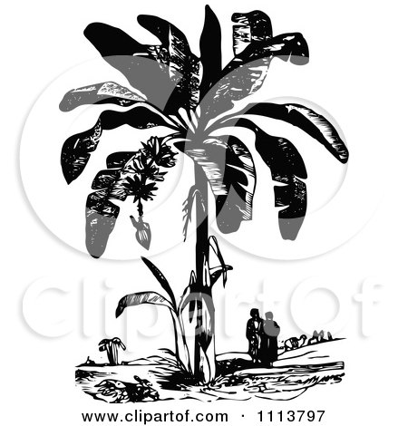 Clipart Vintage Black And White People Under A Plantain Tree - Royalty Free Vector Illustration by Prawny Vintage