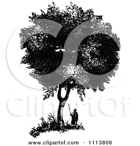 Clipart Retro Black And White Man Under A Box Tree - Royalty Free Vector Illustration by Prawny Vintage