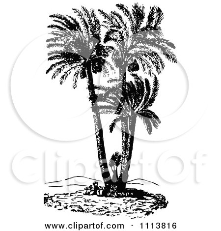 Clipart Retro Black And White Doum Palm Tree - Royalty Free Vector Illustration by Prawny Vintage