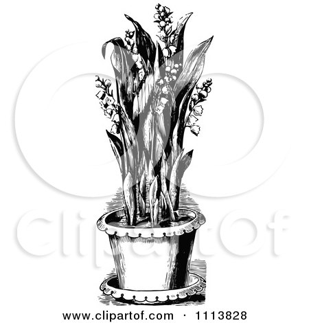 Clipart Vintage Black And White Potted Lily Of The Valley - Royalty Free Vector Illustration by Prawny Vintage
