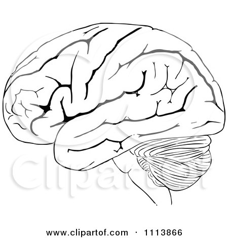 Clipart Vintage Black And White Human Brain 2 - Royalty Free Vector Illustration by Prawny Vintage