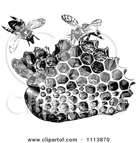 Clipart Vintage Black And White Honeycombs And Bees - Royalty Free Vector Illustration by Prawny Vintage
