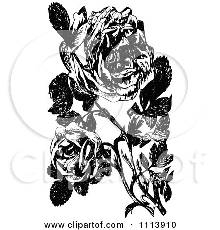 Clipart Vintage Black And White Roses Of Sharon - Royalty Free Vector Illustration by Prawny Vintage
