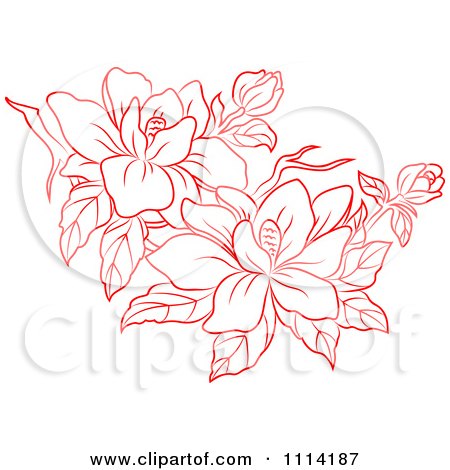 Clipart Red Flowers And Buds - Royalty Free Vector Illustration by Vector Tradition SM