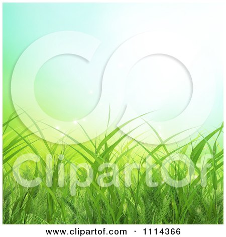 Clipart Background Of Green Spring Grass - Royalty Free CGI Illustration by Mopic
