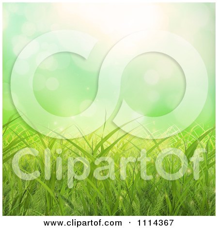 Clipart Background Of Green Grass With Flares Of Light - Royalty Free CGI Illustration by Mopic
