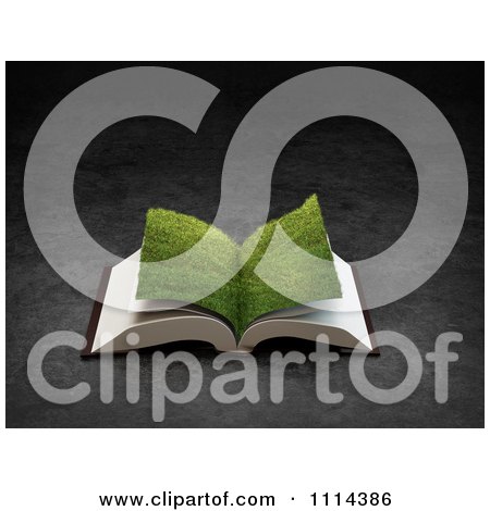 Clipart 3d Grassy Paged Open Book - Royalty Free CGI Illustration by Mopic