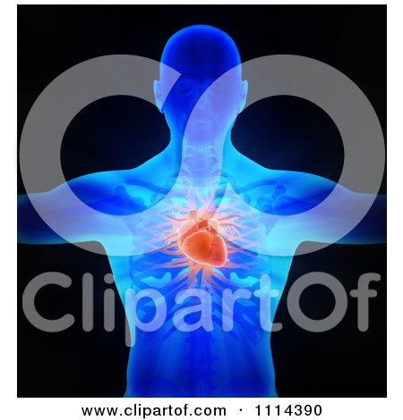 Clipart 3d Man With His Circulatory System Revealed Over Black - Royalty Free CGI Illustration by Mopic