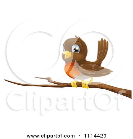 Clipart Cute Robin Bird Perched On A Branch - Royalty Free Vector Illustration by AtStockIllustration