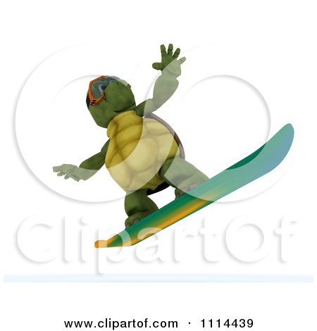 Clipart 3d Tortoise Snowboarding - Royalty Free CGI Illustration by KJ Pargeter