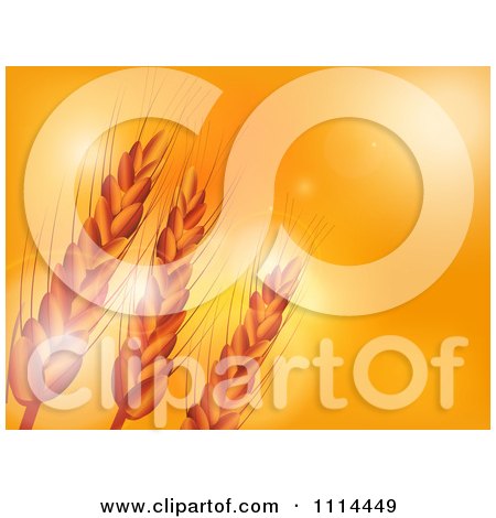Clipart Wheat Over An Orange Sunset With Flares Of Light - Royalty Free Vector Illustration by elaineitalia