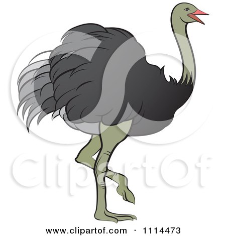 Clipart Walking Ostrich - Royalty Free Vector Illustration by Lal Perera