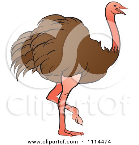 Clipart Walking Brown Ostrich - Royalty Free Vector Illustration by Lal Perera