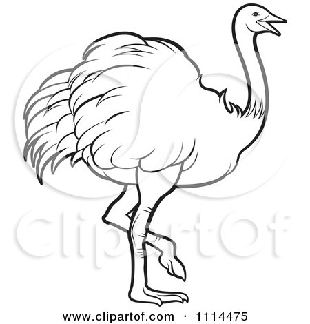 Clipart Outlined Walking Ostrich - Royalty Free Vector Illustration by Lal Perera