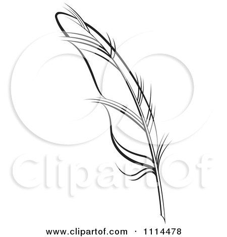 Clipart Black And White Feather Quill - Royalty Free Vector Illustration by Lal Perera