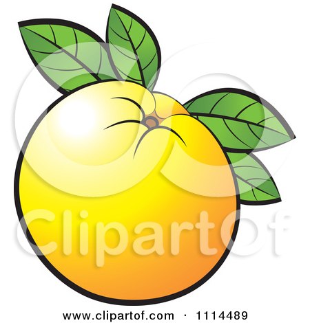 Clipart Orange Fruit With Leaves - Royalty Free Vector Illustration by Lal Perera