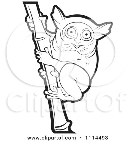 Clipart Outlined Tarsier On Bamboo 1 - Royalty Free Vector Illustration by Lal Perera