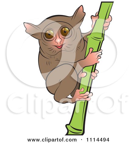 Clipart Tarsier On Bamboo - Royalty Free Vector Illustration by Lal Perera