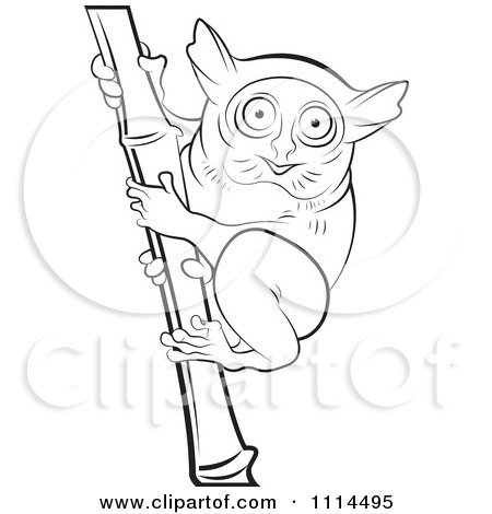 Clipart Outlined Tarsier On Bamboo 2 - Royalty Free Vector Illustration by Lal Perera