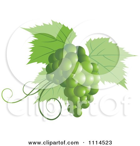 Clipart Green Grapes And Leaves - Royalty Free Vector Illustration by Lal Perera