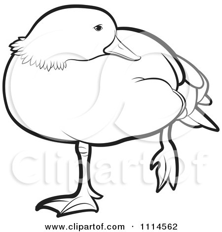 Clipart Outlined Duck Standing On One Leg 1 - Royalty Free Vector Illustration by Lal Perera