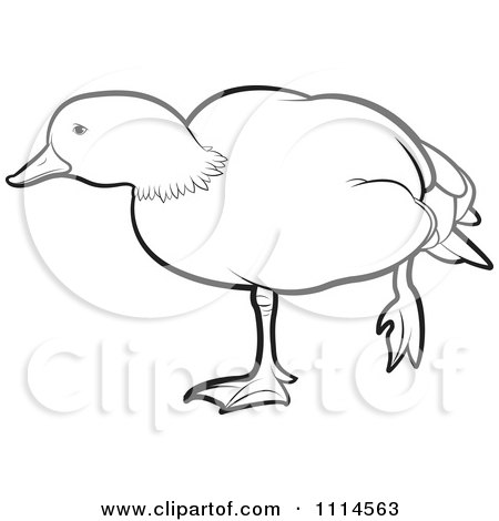 Clipart Outlined Duck Standing On One Leg 2 - Royalty Free Vector Illustration by Lal Perera