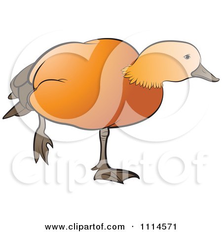 Clipart Duck Standing On One Leg - Royalty Free Vector Illustration by Lal Perera