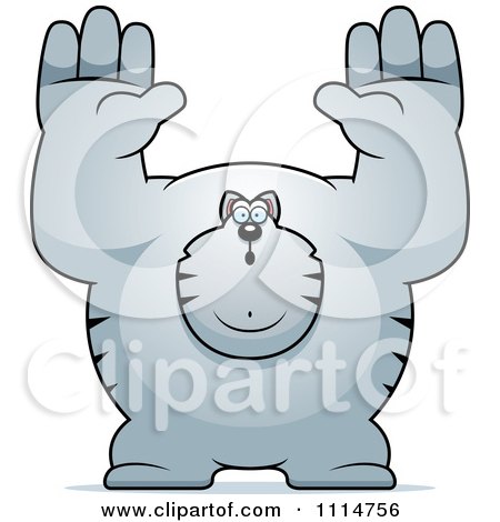 Clipart Buff Gray Cat Giving Up - Royalty Free Vector Illustration by Cory Thoman