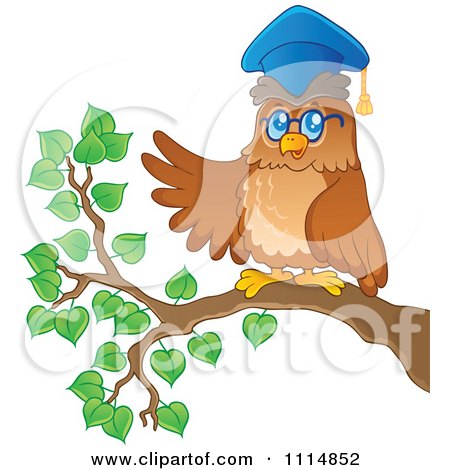 Clipart Wise Professor Owl Presenting On A Branch - Royalty Free Vector Illustration by visekart