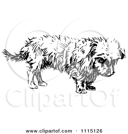 Clipart Vintage Black And White Terrier Dog 1 - Royalty Free Vector Illustration by Prawny Vintage