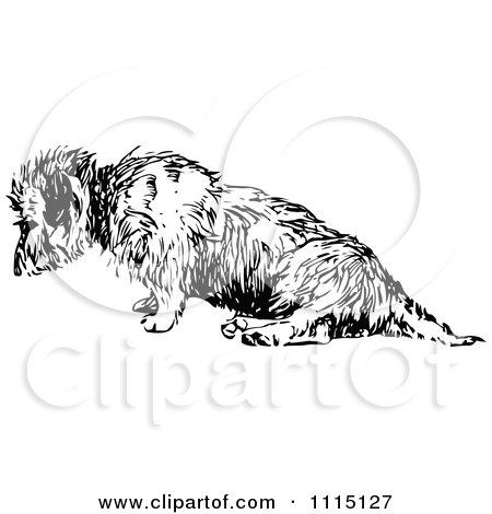 Clipart Vintage Black And White Terrier Dog 2 - Royalty Free Vector Illustration by Prawny Vintage
