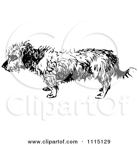 Clipart Vintage Black And White Terrier Dog 4 - Royalty Free Vector Illustration by Prawny Vintage