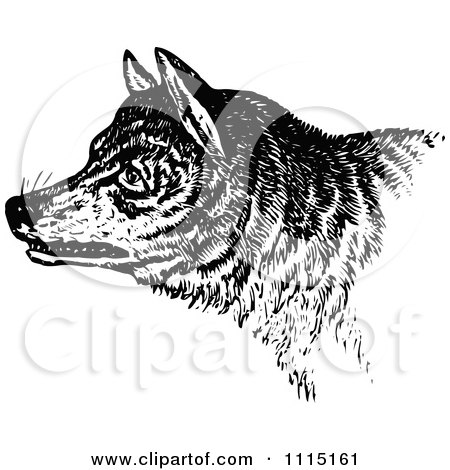 Clipart Vintage Black And White Growling Wolf - Royalty Free Vector Illustration by Prawny Vintage
