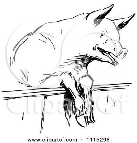 Clipart Vintage Black And White Pig Looking Over A Fence - Royalty Free Vector Illustration by Prawny Vintage