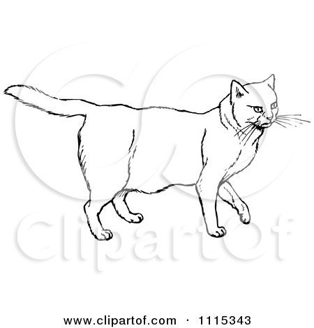 Clipart Vintage Black And White Chubby Cat - Royalty Free Vector Illustration by Prawny Vintage