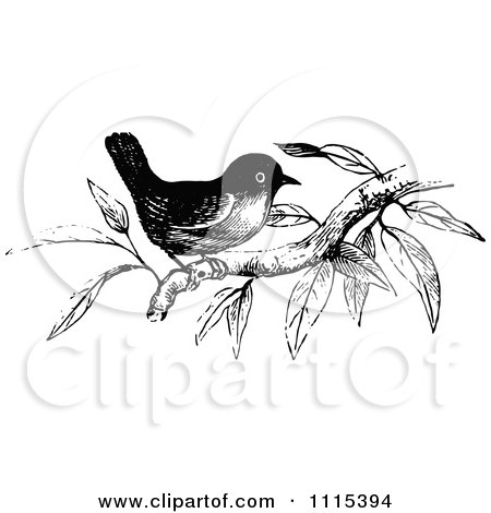 Clipart Vintage Black And White Bird On A Branch - Royalty Free Vector Illustration by Prawny Vintage