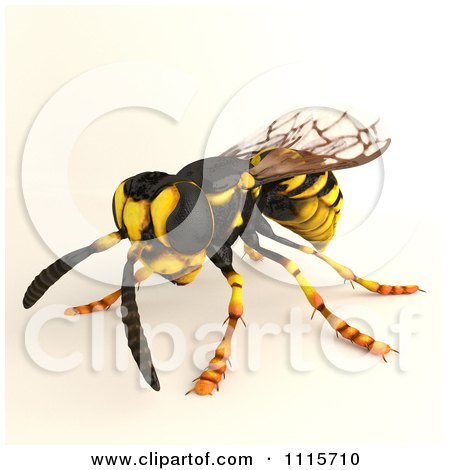 Clipart 3d Wasp Bee 1 - Royalty Free CGI Illustration by Leo Blanchette