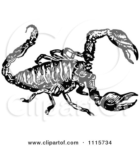 Clipart Retro Vintage Black And White Scorpion 2 - Royalty Free Vector Illustration by Prawny Vintage