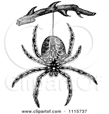 Clipart Retro Vintage Black And White Spider Hanging From A Branch - Royalty Free Vector Illustration by Prawny Vintage