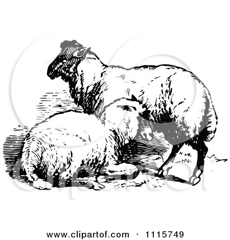 Clipart Retro Vintage Black And White Sheep Pair - Royalty Free Vector Illustration by Prawny Vintage