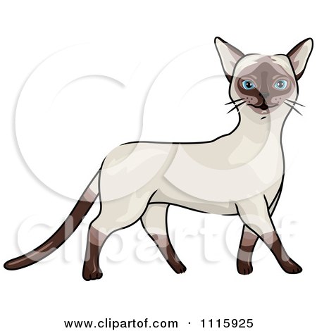 Clipart Happy Siamese Cat Walking - Royalty Free Vector Illustration by BNP Design Studio