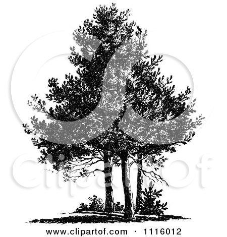 Clipart Retro Vintage Black And White Trees - Royalty Free Vector Illustration by Prawny Vintage