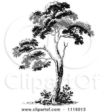 Clipart Retro Vintage Black And White Tree 2 - Royalty Free Vector Illustration by Prawny Vintage