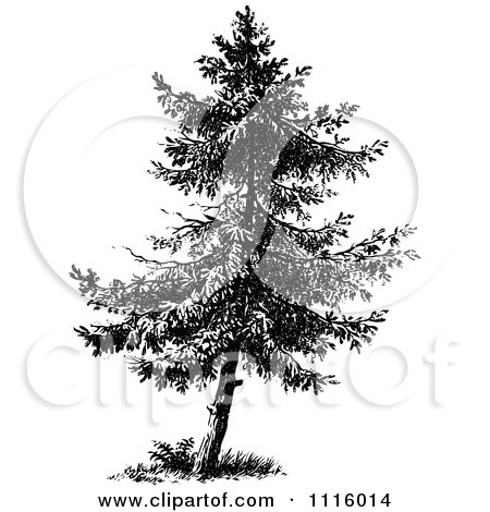 Clipart Retro Vintage Black And White Tree 3 - Royalty Free Vector Illustration by Prawny Vintage