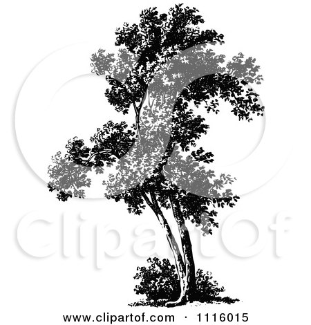 Clipart Retro Vintage Black And White Tree 4 - Royalty Free Vector Illustration by Prawny Vintage