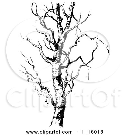 Clipart Retro Vintage Black And White Bare Tree 1 - Royalty Free Vector Illustration by Prawny Vintage