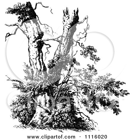 Clipart Retro Vintage Black And White Broken Tree - Royalty Free Vector Illustration by Prawny Vintage