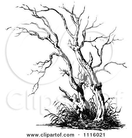 Clipart Retro Vintage Black And White Bare Tree 2 - Royalty Free Vector Illustration by Prawny Vintage