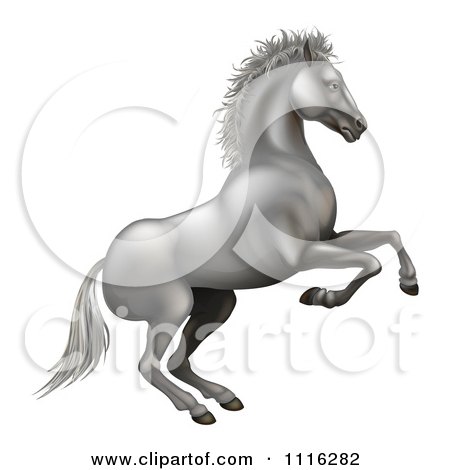 Clipart 3d Silvery White Horse Rearing - Royalty Free Vector Illustration by AtStockIllustration